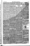 Weekly Register and Catholic Standard Saturday 07 June 1851 Page 7