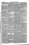 Weekly Register and Catholic Standard Saturday 28 June 1851 Page 7