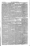 Weekly Register and Catholic Standard Saturday 06 September 1851 Page 7