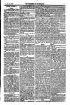 Weekly Register and Catholic Standard Saturday 27 September 1851 Page 11