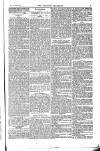 Weekly Register and Catholic Standard Saturday 03 January 1852 Page 5