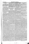 Weekly Register and Catholic Standard Saturday 03 January 1852 Page 7