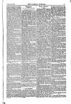 Weekly Register and Catholic Standard Saturday 10 January 1852 Page 11