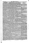 Weekly Register and Catholic Standard Saturday 10 January 1852 Page 15