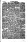 Weekly Register and Catholic Standard Saturday 31 January 1852 Page 5