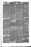 Weekly Register and Catholic Standard Saturday 07 February 1852 Page 13