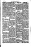 Weekly Register and Catholic Standard Saturday 14 February 1852 Page 13