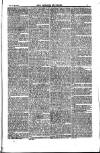 Weekly Register and Catholic Standard Saturday 14 February 1852 Page 15