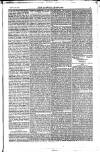 Weekly Register and Catholic Standard Saturday 21 February 1852 Page 9