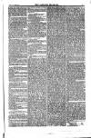 Weekly Register and Catholic Standard Saturday 21 February 1852 Page 11