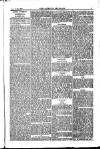 Weekly Register and Catholic Standard Saturday 20 March 1852 Page 3