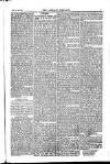 Weekly Register and Catholic Standard Saturday 20 March 1852 Page 7