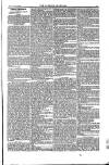 Weekly Register and Catholic Standard Saturday 27 March 1852 Page 13