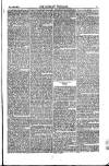 Weekly Register and Catholic Standard Saturday 27 March 1852 Page 15