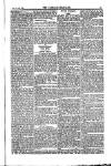 Weekly Register and Catholic Standard Saturday 03 April 1852 Page 11