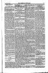 Weekly Register and Catholic Standard Saturday 03 April 1852 Page 13