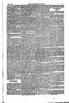 Weekly Register and Catholic Standard Saturday 03 April 1852 Page 15