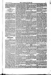 Weekly Register and Catholic Standard Saturday 10 April 1852 Page 11