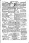 Weekly Register and Catholic Standard Saturday 17 April 1852 Page 15