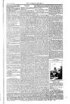 Weekly Register and Catholic Standard Saturday 24 April 1852 Page 5