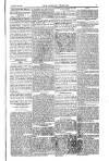 Weekly Register and Catholic Standard Saturday 24 April 1852 Page 7
