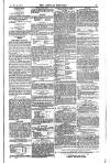 Weekly Register and Catholic Standard Saturday 24 April 1852 Page 15