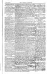 Weekly Register and Catholic Standard Saturday 01 May 1852 Page 7