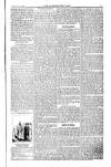 Weekly Register and Catholic Standard Saturday 01 May 1852 Page 13