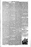 Weekly Register and Catholic Standard Saturday 08 May 1852 Page 5
