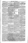 Weekly Register and Catholic Standard Saturday 08 May 1852 Page 7