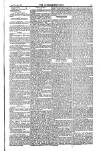 Weekly Register and Catholic Standard Saturday 08 May 1852 Page 11