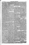 Weekly Register and Catholic Standard Saturday 29 May 1852 Page 7