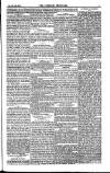 Weekly Register and Catholic Standard Saturday 05 June 1852 Page 9
