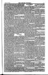 Weekly Register and Catholic Standard Saturday 05 June 1852 Page 11