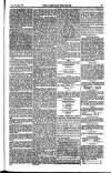 Weekly Register and Catholic Standard Saturday 05 June 1852 Page 15