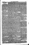 Weekly Register and Catholic Standard Saturday 26 June 1852 Page 3