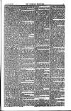 Weekly Register and Catholic Standard Saturday 26 June 1852 Page 11