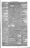 Weekly Register and Catholic Standard Saturday 26 June 1852 Page 13