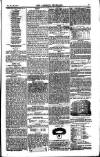 Weekly Register and Catholic Standard Saturday 26 June 1852 Page 15
