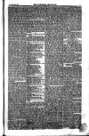 Weekly Register and Catholic Standard Saturday 03 July 1852 Page 7