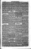 Weekly Register and Catholic Standard Saturday 03 July 1852 Page 9