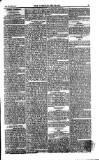 Weekly Register and Catholic Standard Saturday 31 July 1852 Page 3