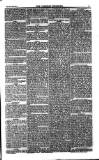 Weekly Register and Catholic Standard Saturday 31 July 1852 Page 11