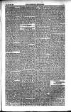 Weekly Register and Catholic Standard Saturday 25 September 1852 Page 5