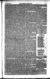Weekly Register and Catholic Standard Saturday 25 September 1852 Page 7
