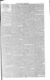 Weekly Register and Catholic Standard Saturday 05 February 1853 Page 5