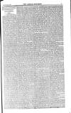 Weekly Register and Catholic Standard Saturday 05 February 1853 Page 11