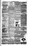 Weekly Register and Catholic Standard Saturday 14 January 1854 Page 15
