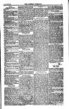 Weekly Register and Catholic Standard Saturday 08 July 1854 Page 11