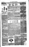 Weekly Register and Catholic Standard Saturday 08 July 1854 Page 13
